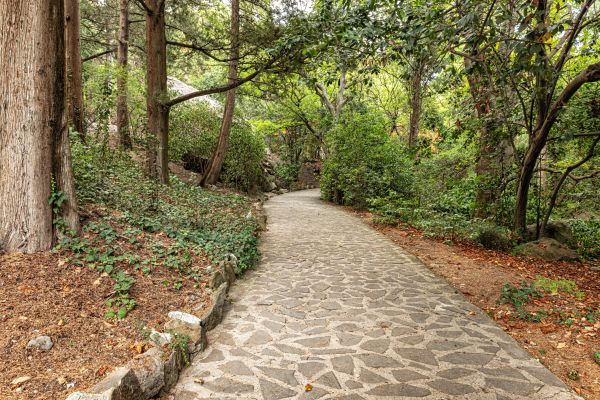 Stone Walkway Repair in Columbia