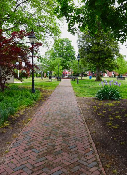 Brick Pathway Repair in Columbia