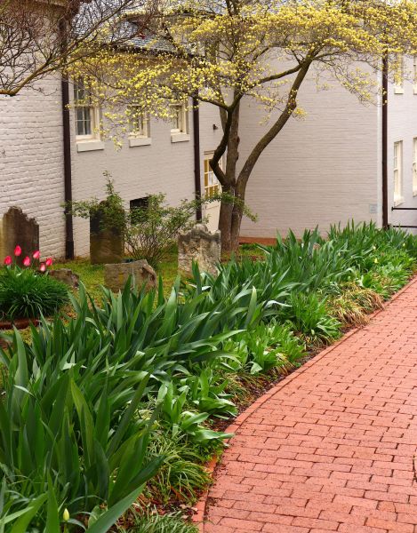 Brick Flatwork Repair in Columbia